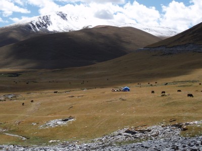 Tibetan tents Tibetan Grazing Camp