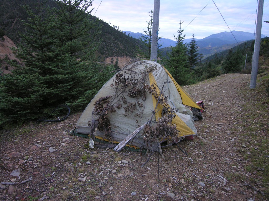 Bush camp tent Tent camouflaged with branches
