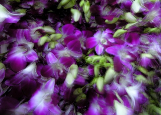 Flowers at a wholesale market beside the Chao Praya in Bangkok Flowers at a wholesale market beside the Chao Praya in Bangkok